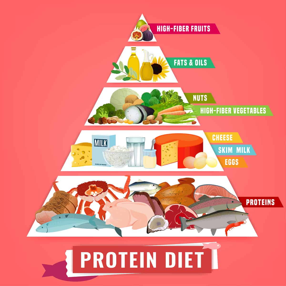 غذا‌های پروتئین دار برای لاغری و عضله سازی